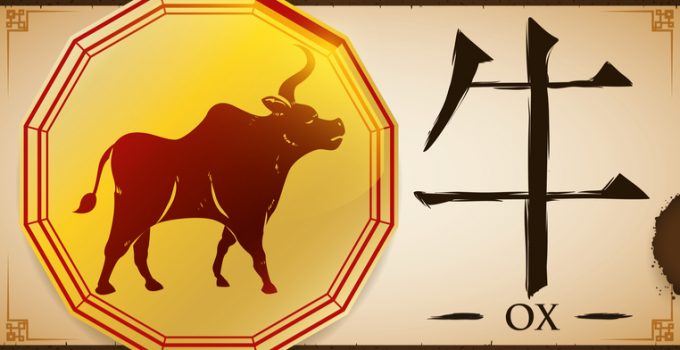 signo de boi no horóscopo chinês