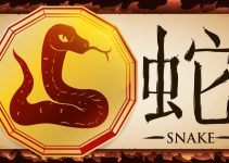 signo de serpente no horóscopo chinês